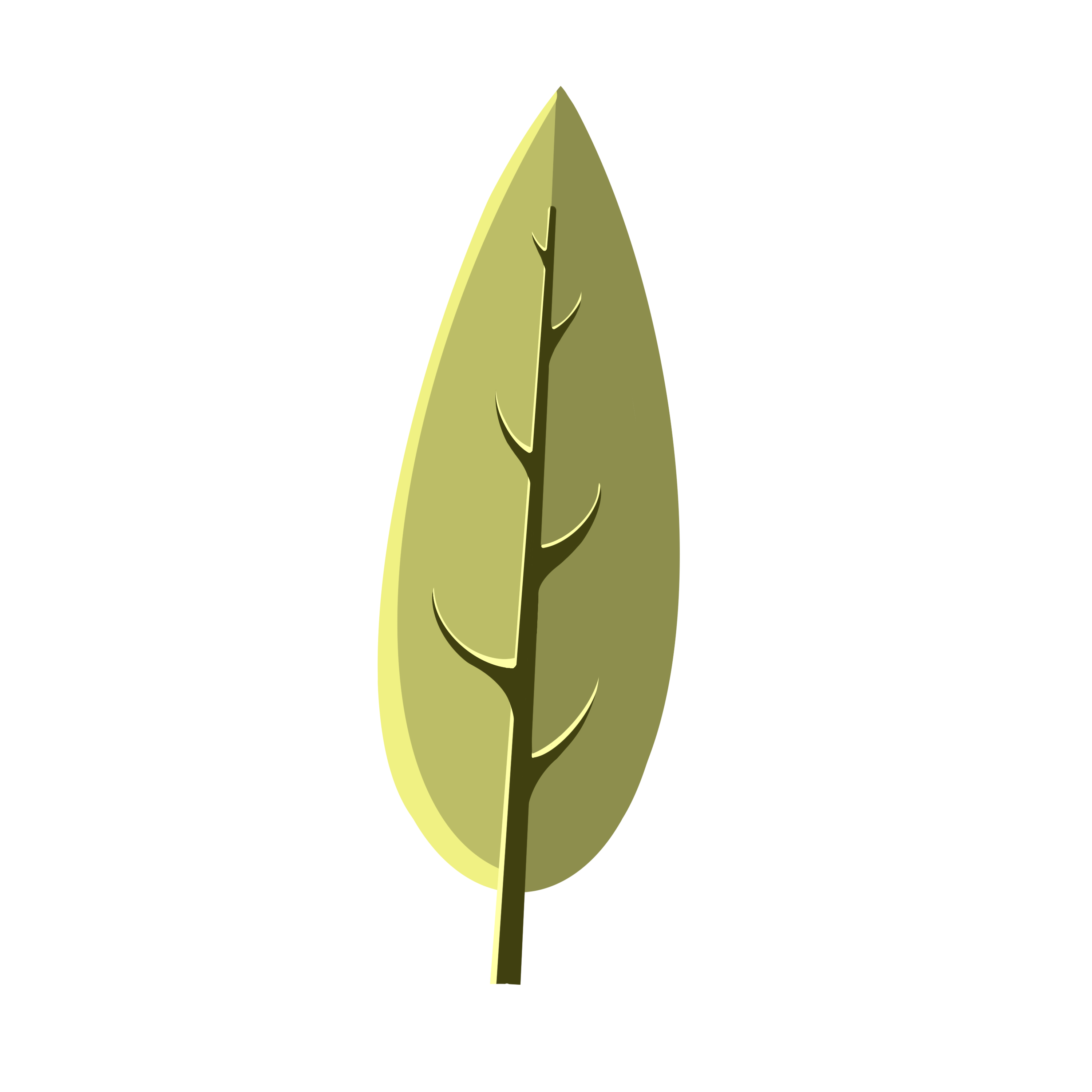 2D Tree Asset